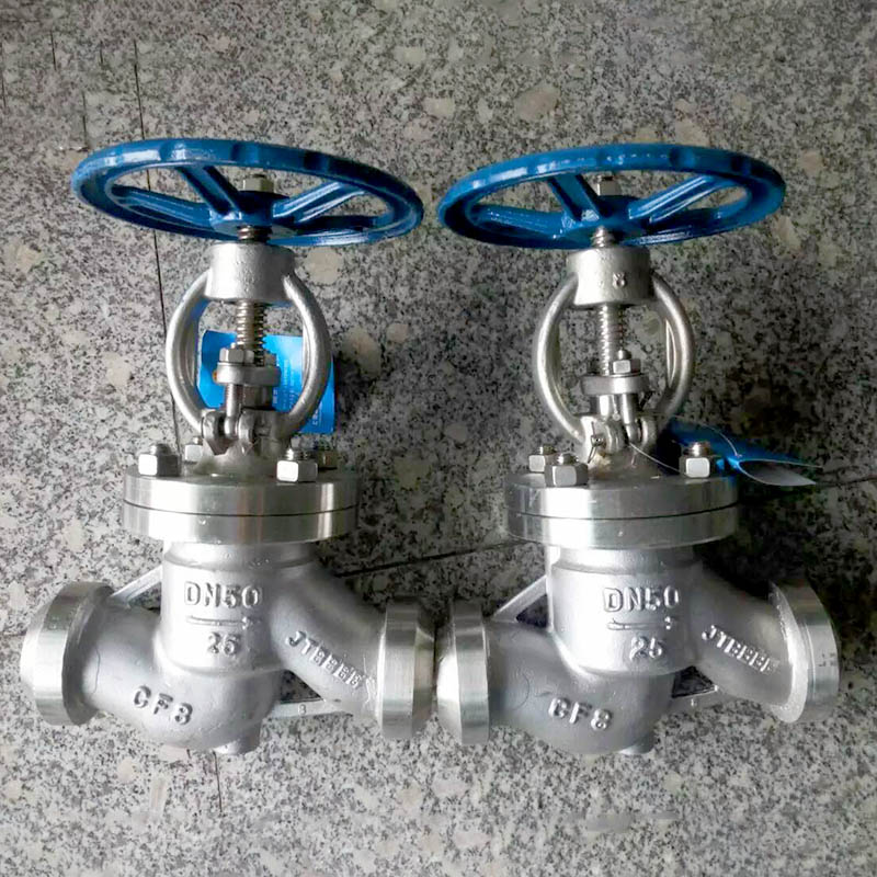 Cast iron stainless steel valve 6